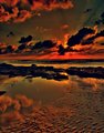 Reflections