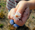 For You, Mommy.jpg