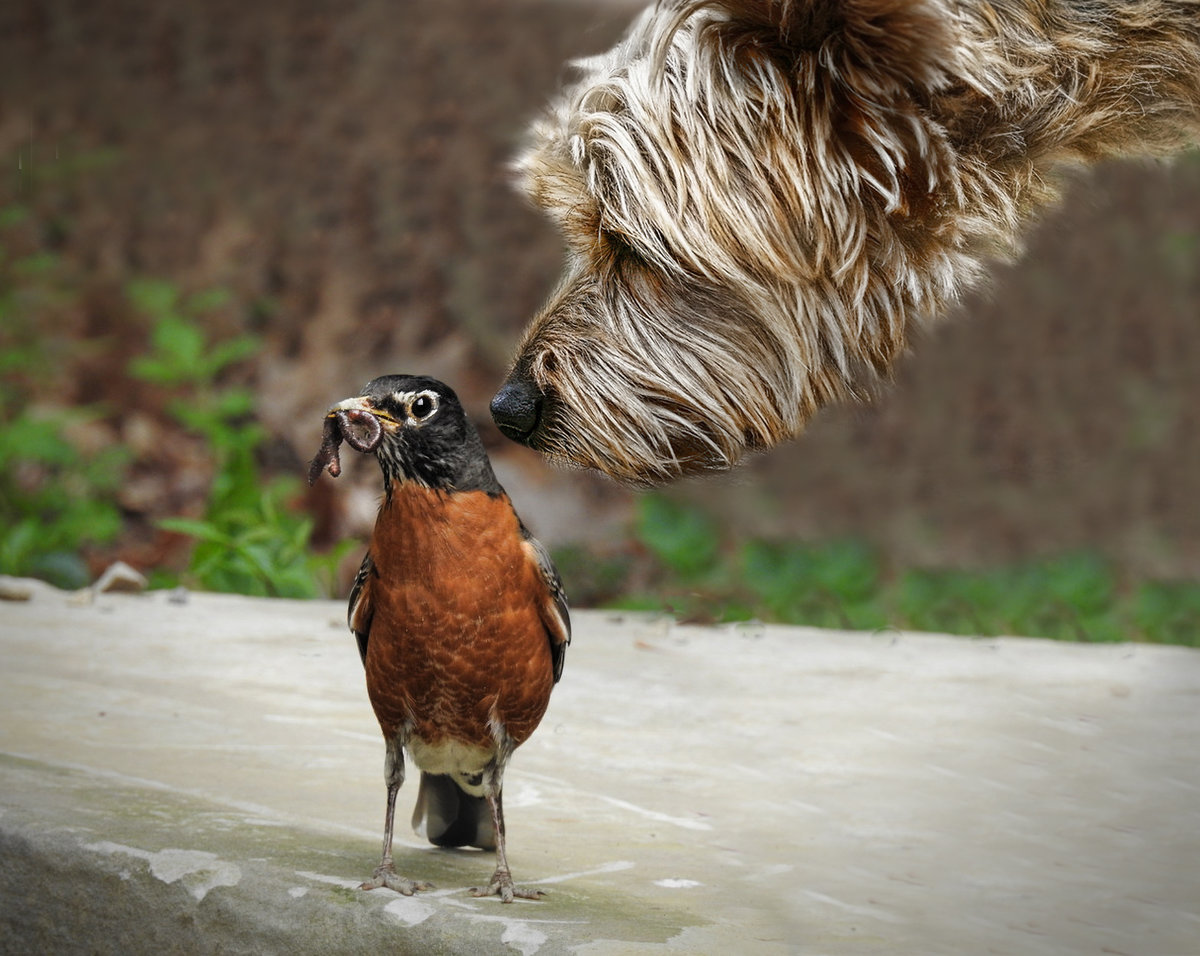 Care to Share, Little Buddy?