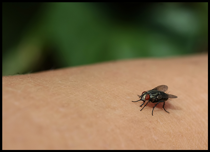 SP a Day -  Day Fifteen - My Leg