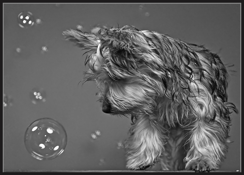 Bubbles Outtake