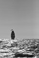 Tall Ships Festival - 3