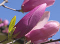 12031-a-little-color-4-3.jpg