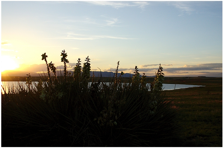 Setting Sun