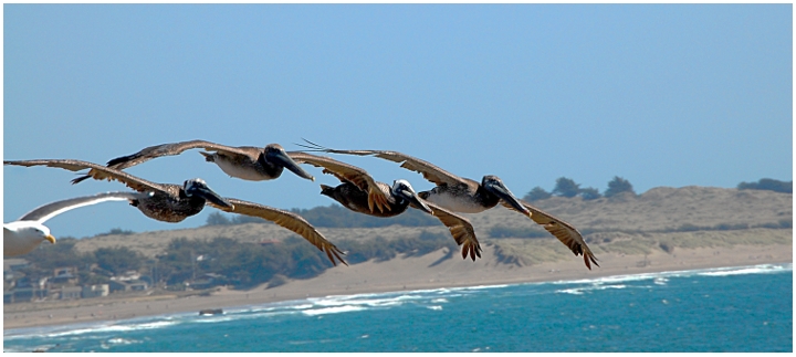 Formation Flying