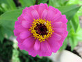 DSC05267.JPG