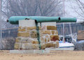 canons.jpg