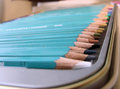 macro7.jpg