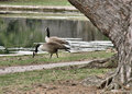 birdsandblooms3-2.jpg