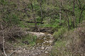 rodeopark2-2.jpg
