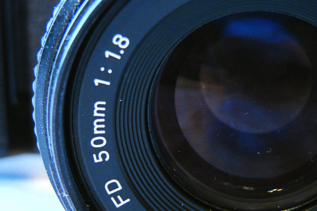 macro27.jpg