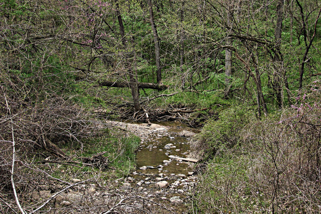 rodeopark2-2.jpg