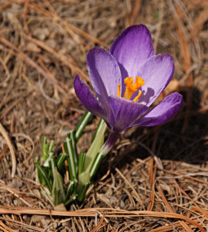 photowalk032109 2.jpg