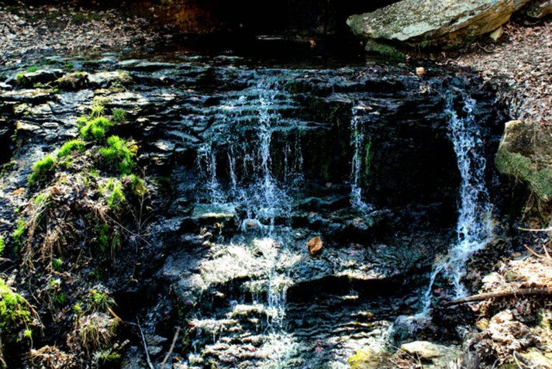 photowalk032109 6.jpg