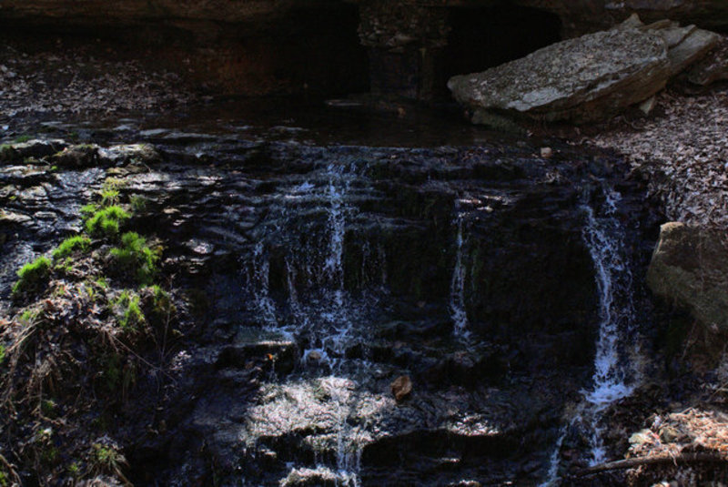 photowalk032109 7.jpg