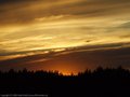 DSCF2039.jpg