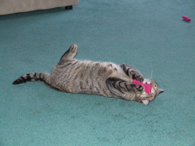 Izzie