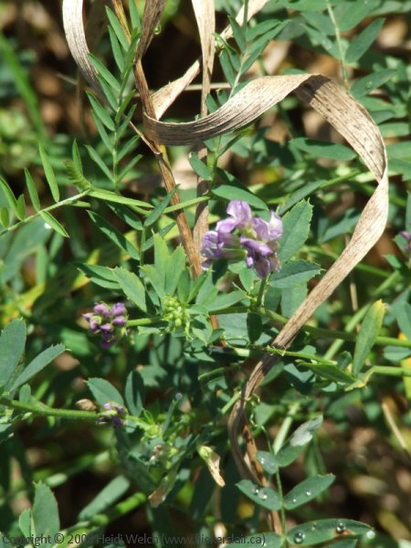 DSCF1891.jpg