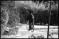 Giro in Parco Massari