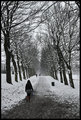 Leeds Snow 1