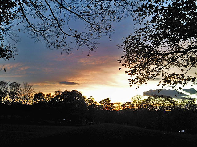 Another afternoon in Hyde Park