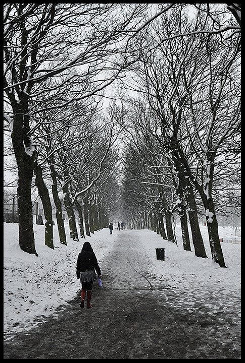 Leeds Snow 1
