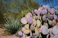Botanical Gardens 2
