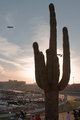 Desert Racing