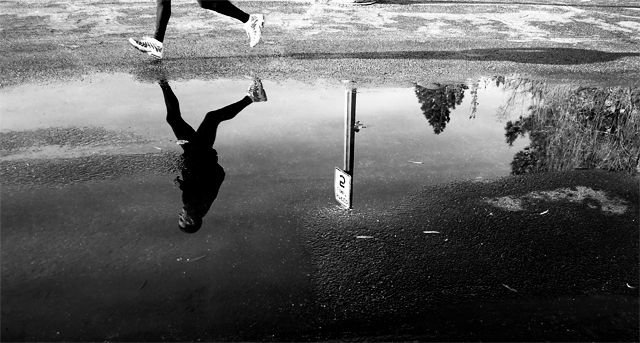 Mid Morning Runner