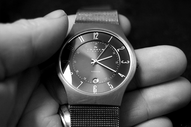 Skagen Black & White