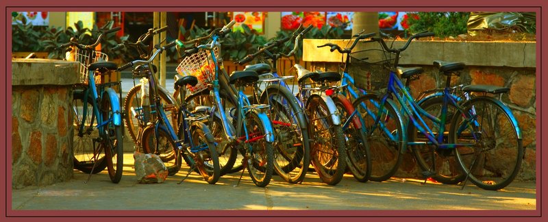 Evening Bikes1 copy [50%].jpg