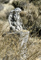 ' . substr('//images.dpchallenge.com/images_portfolio/85000-89999/87538/120/652429.jpg', strrpos('//images.dpchallenge.com/images_portfolio/85000-89999/87538/120/652429.jpg', '/') + 1) . '
