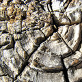 ' . substr('//images.dpchallenge.com/images_portfolio/85000-89999/87538/120/655072.jpg', strrpos('//images.dpchallenge.com/images_portfolio/85000-89999/87538/120/655072.jpg', '/') + 1) . '