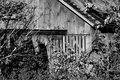 DSC_0016.JPG