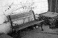 bench.JPG