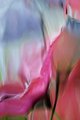 Abstract Pink and Blue Flowers