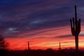 Desert Sunset #4