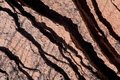 Cracks in Red Rocks-Valley of Fire State Park.