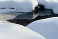 Winter on the Middle Branch- Escanaba River