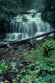 Wagner Falls near Munising, MI
