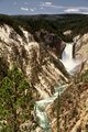 Lower Falls-Yellowstone River