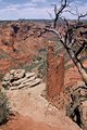 Canyon de Chelly National Monument-S.Rim