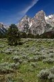 Grand Teton National Park, WY