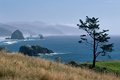 Oregon Coast  #1