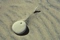 Rock, Stick and Sand-Whitefish Point near Paradise, MI