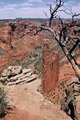 South Rim of Canyon de Chelly