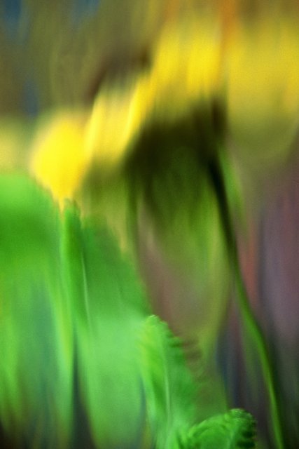 Abstract Watercolor Photography