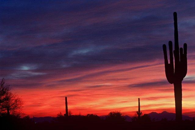 Desert Sunset #4