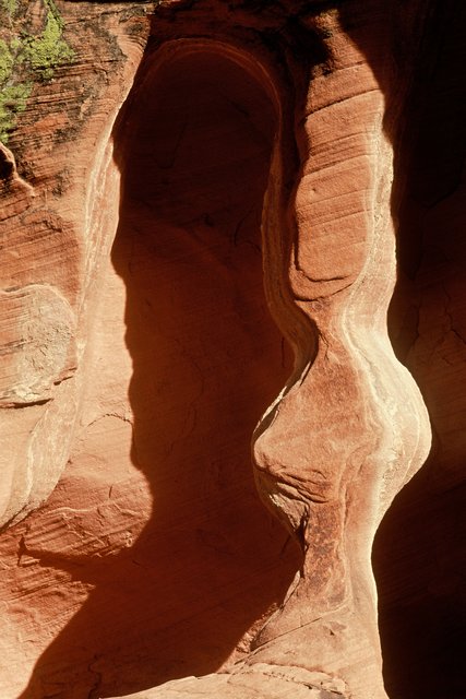 Queen of the Red Rocks-Valley of Fire State Park