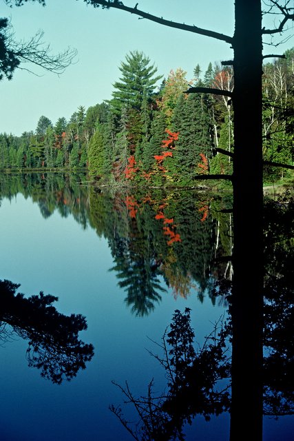 Fall Morning at Anderson Lake-Vertical